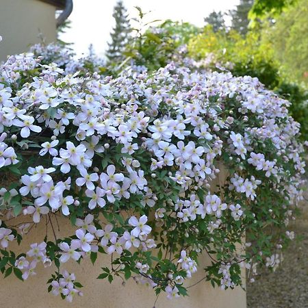 Le Clos Fleuri Bed and Breakfast Giverny Exterior foto