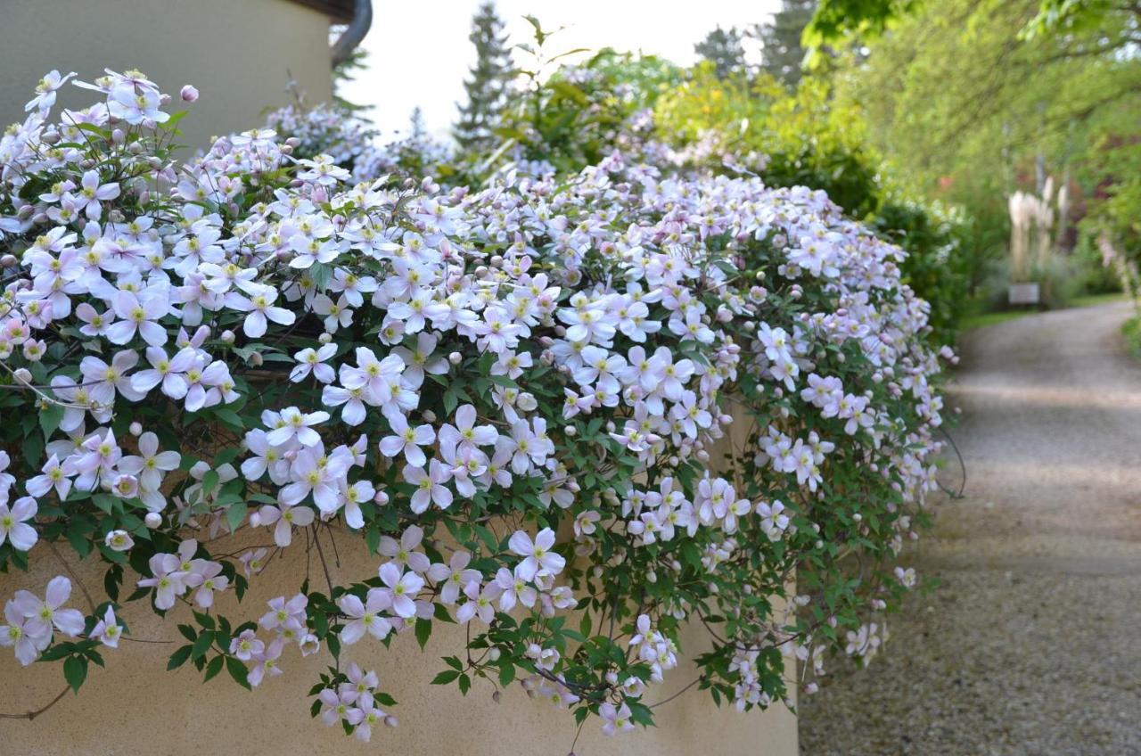 Le Clos Fleuri Bed and Breakfast Giverny Exterior foto